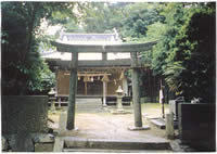 端島神社の画像