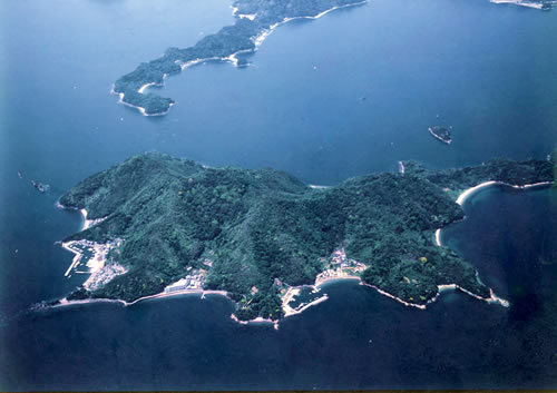 情島