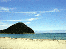 菊ヶ浜