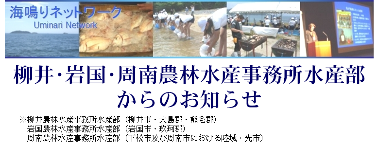 海鳴りネットワーク・柳井農林水産事務所水産部からのお知らせの画像