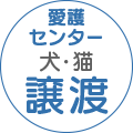 愛護センター譲渡リンク