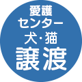 愛護センター譲渡リンク選択