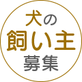 犬飼い主募集リンク