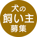 犬飼い主募集リンク選択