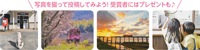 ʐ^BēeĂ݂悤!܎҂ɂ̓v[g