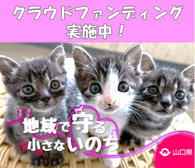 やまぐち犬猫支援事業の画像