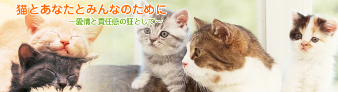 ねことあなたとみんなのために～愛情と責任感の証として～