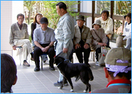 飼い方・しつけ方のご相談をお受けしています