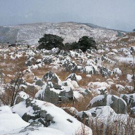 冬の秋吉台の画像