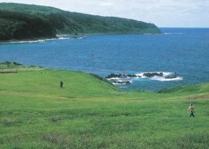 観音平から北灯台の画像