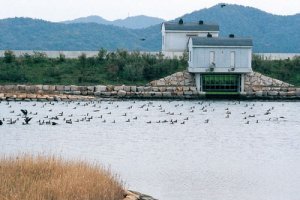 汽水池の画像