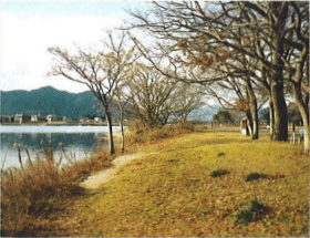 山口市矢原河川公園の画像