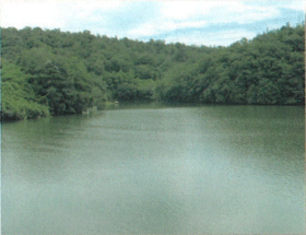 宇部市小野湖の画像