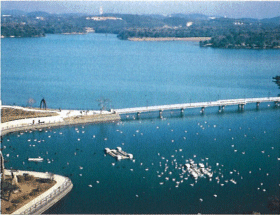 宇部市常盤公園の画像