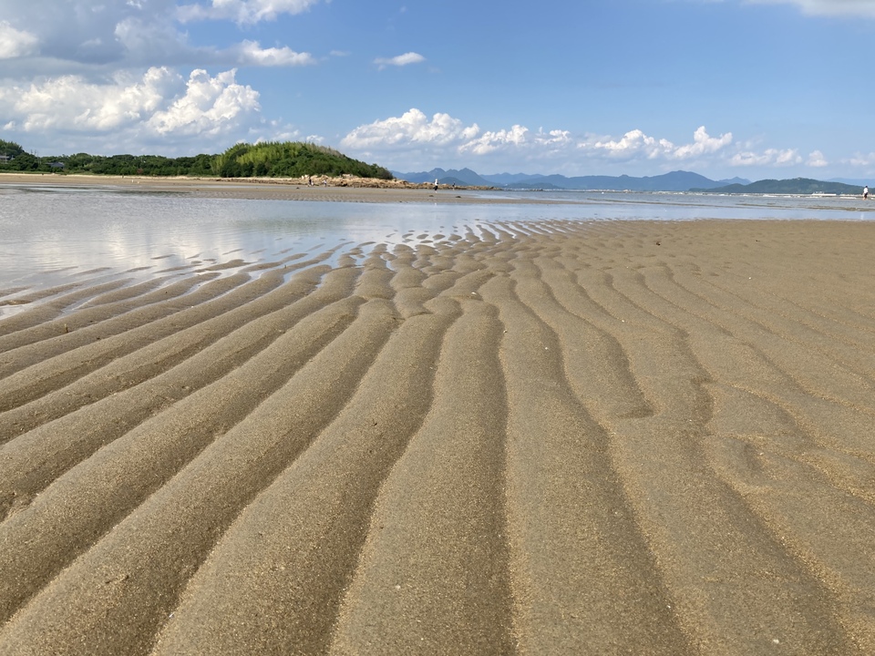 景観部門_入選の画像6