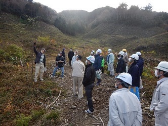 早生樹植栽試験地（萩市）の画像