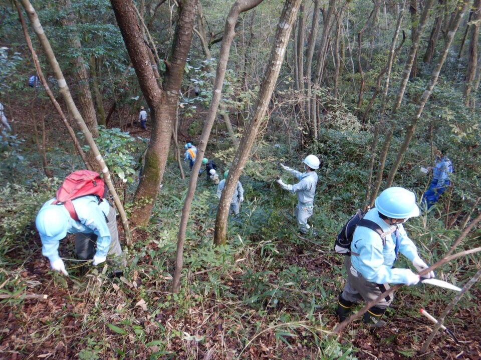 森林整備状況の画像