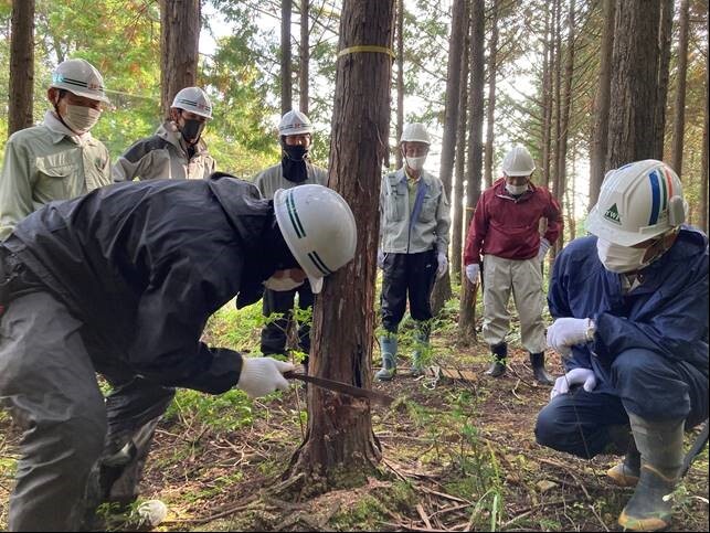 間伐に挑戦の画像