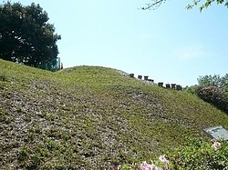 ​神花山古墳の画像