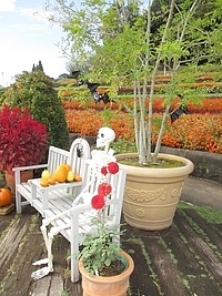 ハロウィン装飾をした庭園の状況（Ｒ2年度）の画像1
