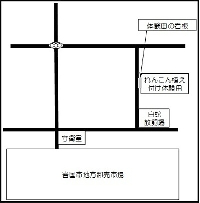 ほ場図