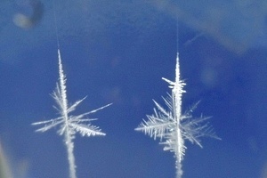 ドライアイスを使った雪の結晶づくりの画像