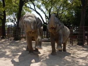 徳山動物園の写真