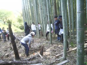 たけのこ堀り体験交流会の写真です