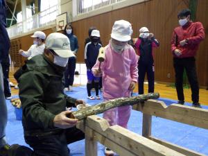 しいたけ駒打ち体験（修成小）の写真