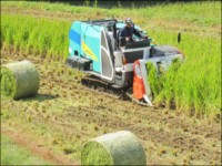 耕畜連携の取組の推進