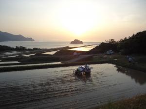 阿武町木与の棚田での田植え風景