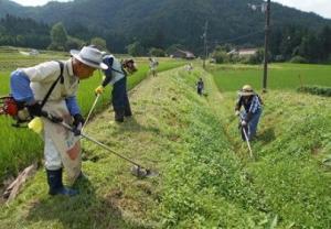 法面の草刈り作業