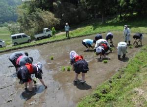 中山間地域での早乙女たちによる田植え風景