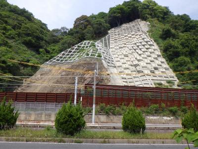 懸山復旧状況