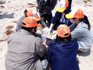 環境保健センターからのマイクロプラスチック採取体験会②