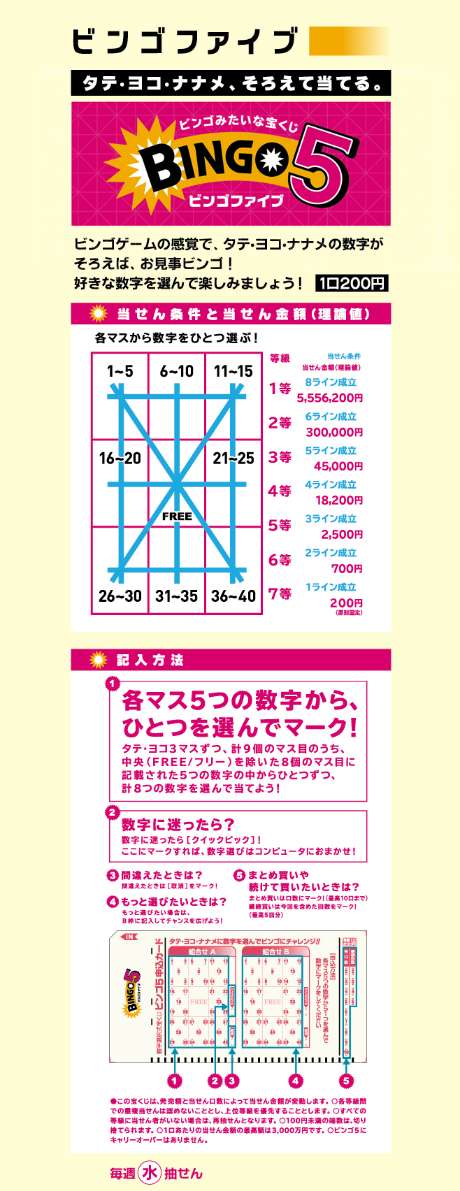 ビンゴファイブの画像