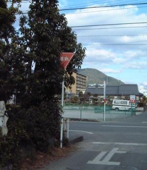 道路標識が、木に隠れて見えなくなっている画像