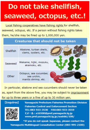 漁業権について（英語）