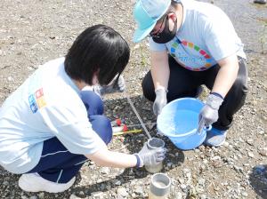 水生生物