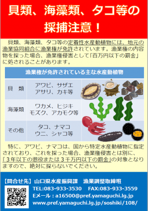 漁業権等について（日本語）