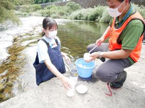 水生生物