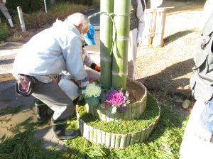 杉葉から良い香りが広がります