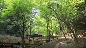 水神公園