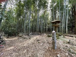 講座の様子です