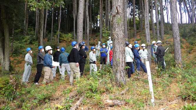 研修会実演