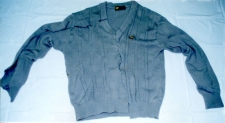 灰色Vネックセーターの画像