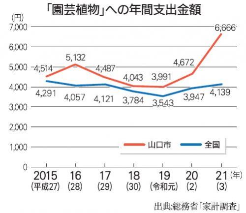 園芸植物への年間支出額