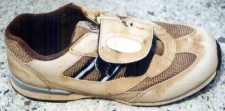 ベージュ色運動靴の画像