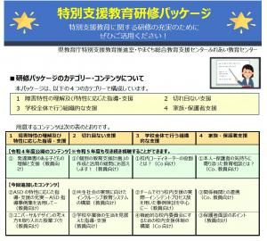 研修パッケージ紹介チラシ