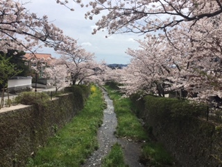 山口県の観光を盛り上げていきましょう！の画像1